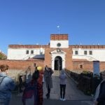 IMG_4595